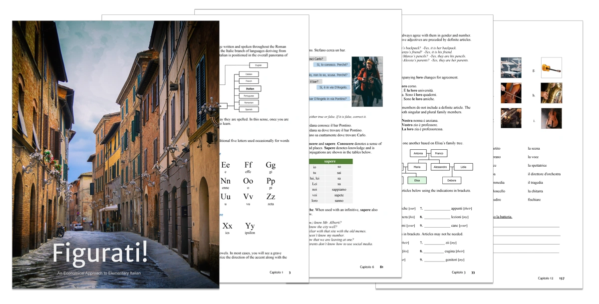 This image shows an assortment of pages from the Figurati! textbook to highlight the author's meticulous attention to content, layout and graphic design.